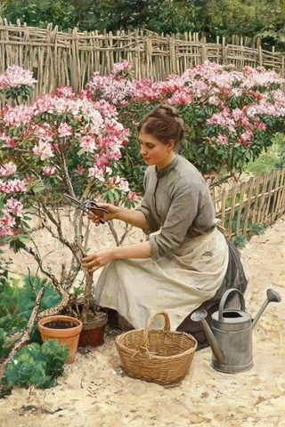 Azalea 名字源頭意象圖