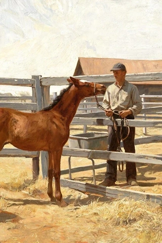 Colt 名字源頭意象圖