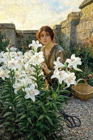 Lilly 名字源頭意象圖