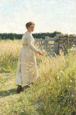 Meadow 名字源頭意象圖