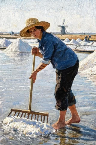 Sol 名字源頭意象圖